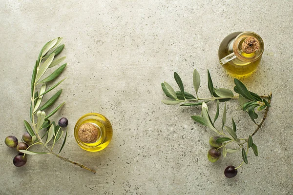Fondo de botella de aceite de oliva con rama — Foto de Stock
