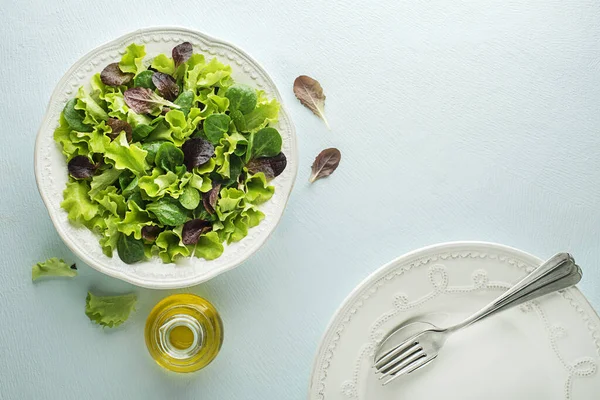 Vihreä salaatti lehdet — kuvapankkivalokuva