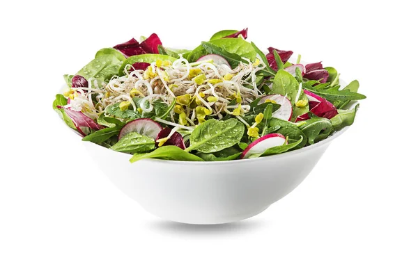 白い背景に隔離されたアルファルファの芽と健康的な緑のサラダの食事 — ストック写真