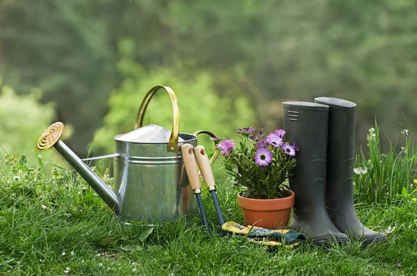 Ferramentas Jardinagem Plantas Fundo Jardim Jardinagem Conjunto Ferramentas Para Jardineiro — Fotografia de Stock