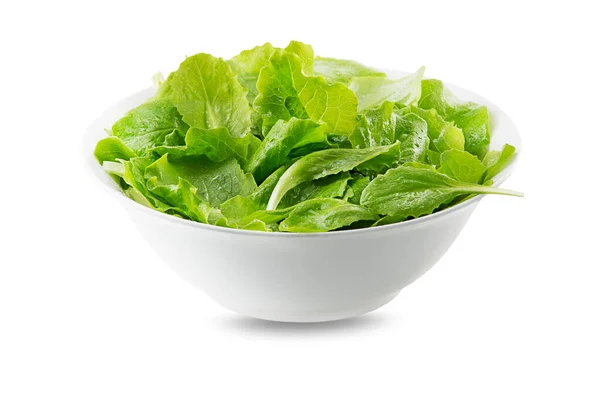 Salat Mit Grünem Salat Schüssel Isoliert Auf Weiß Frisch Gepflückt — Stockfoto