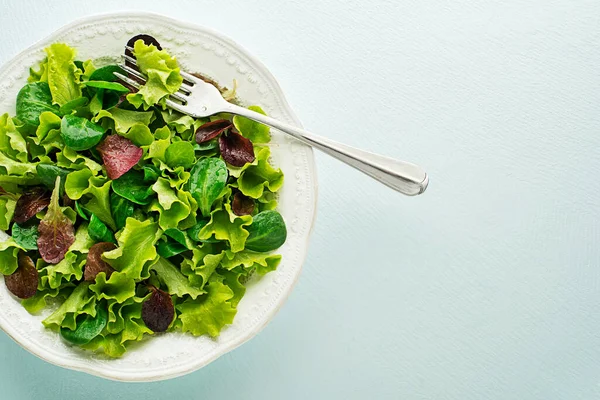 Sağlıklı Yeşil Kırmızı Marul Salatası Mavi Masanın Arkasında Yakın Plan — Stok fotoğraf