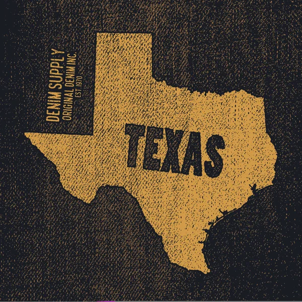 Étiquette avec la carte de texas . — Image vectorielle