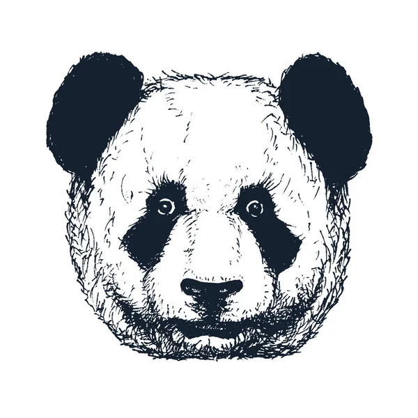 Hand getekende panda — Stockvector