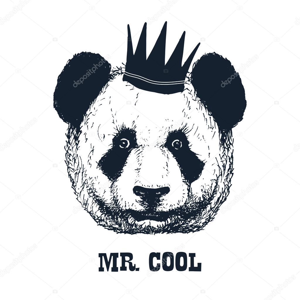 Panda en blanco y negro aislado en blanco — Archivo Imágenes