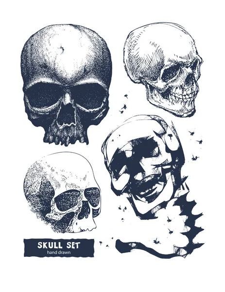 Conjunto de cráneo en estilo de dibujo a mano — Archivo Imágenes Vectoriales