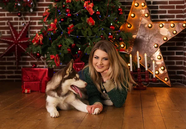 Girl hugging husky dog near Christmas tree — Stock Photo, Image