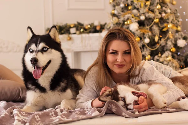 Dívka s husky psa v posteli u vánočního stromu — Stock fotografie