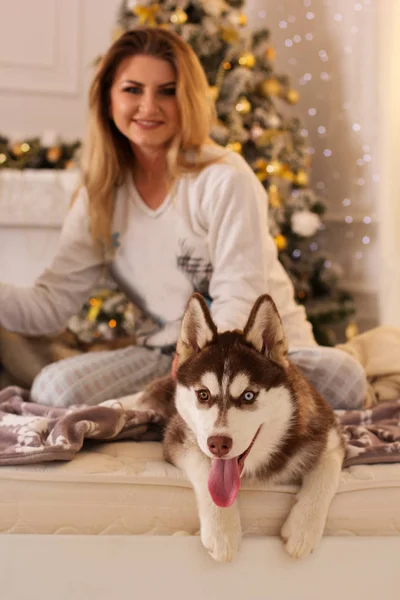 Girl with husky dog in bed near Christmas tree — Stock Photo, Image