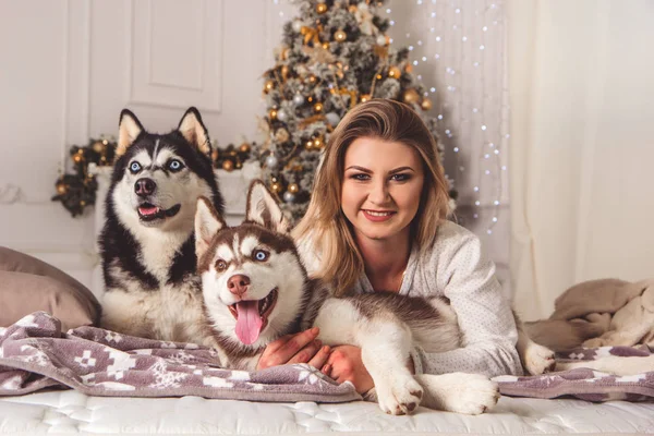 Husky kutya ágy mellett karácsonyfa lány — Stock Fotó