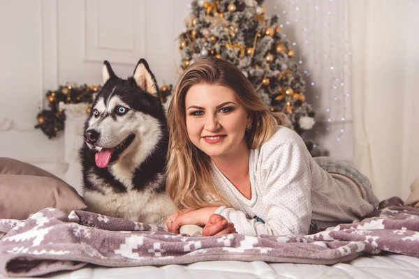 Dívka s husky psa v posteli u vánočního stromu — Stock fotografie