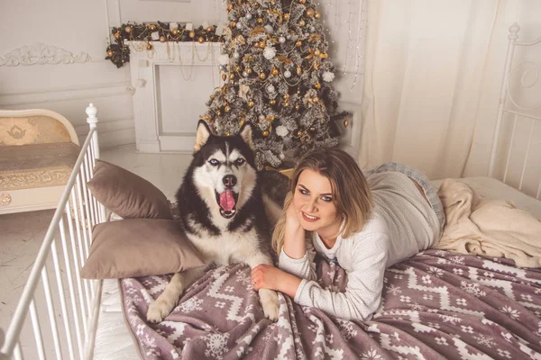 Girl with husky dog in bed near Christmas tree — Stock Photo, Image