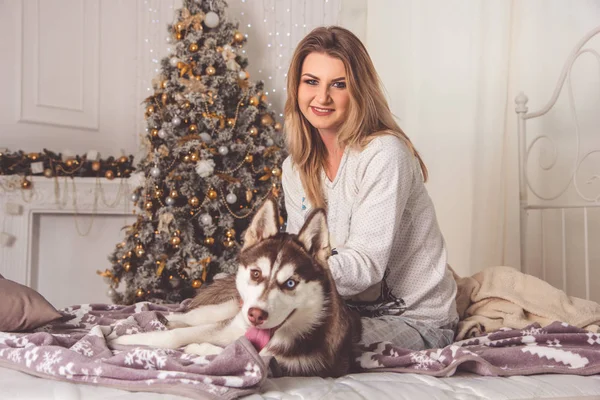 Dívka s husky psa v posteli u vánočního stromu — Stock fotografie