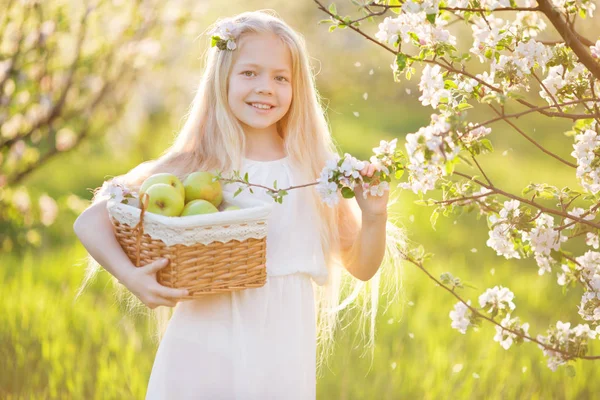 Roztomilá holčička v zahradě strom apple blossom — Stock fotografie