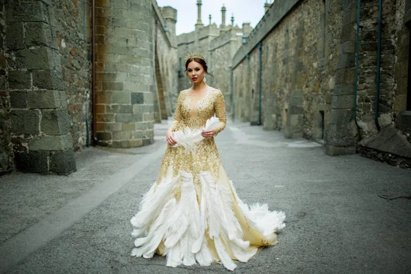 Hermosa mujer está usando vestido de princesa con plumas en el castillo mágico — Foto de Stock