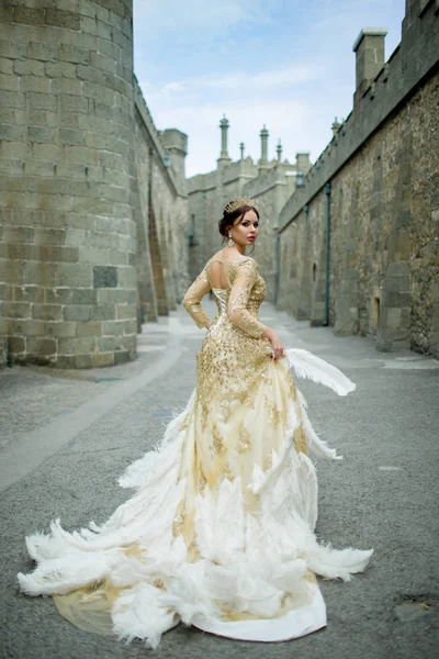 Beautiful sexy woman is wearing princess dress with feathers in the magic castle — Stock Photo, Image