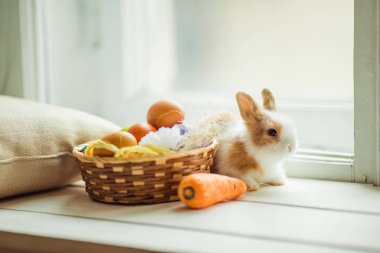 Paskalya sevimli tavşan sepet renkli yumurta ve havuç ile pencere eşiğinde oturuyor