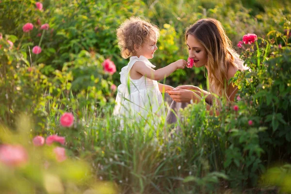Vackra par barn flicka med ganska ung mor vandrar i vårträdgård med rosa blomma rosor blommor — Stockfoto
