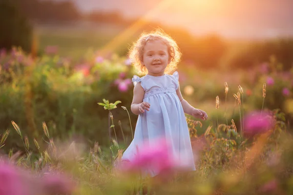 Kudrnaté dítě dívka chodí v zahradě na jaře s květy růží růžový květ, slunce — Stock fotografie