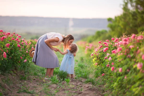 Sweet kiss of beautiful couple child girl and mother in spring garden with pink blossom roses flowers, sunset time — Stock Photo, Image