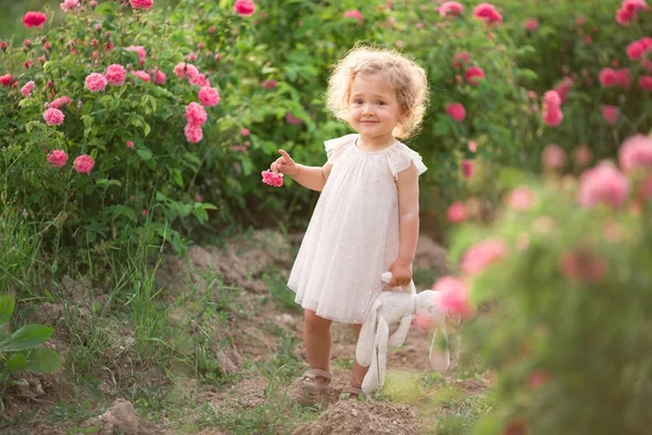 Ragazza piuttosto riccia sta camminando nel giardino primaverile con fiori di rose rosa, ora del tramonto — Foto Stock