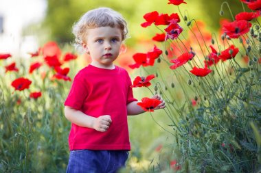 Küçük sarışın çocuk kırmızı haşhaş çiçek tutuyor