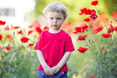 Küçük sarışın çocuk kırmızı haşhaş çiçek tutuyor