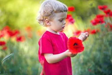 Küçük sarışın çocuk kırmızı haşhaş çiçek tutuyor