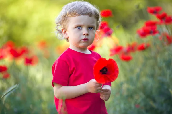 Un petit garçon blond tient une fleur de pavot rouge — Photo