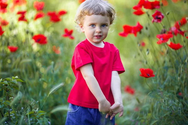 Malý Plavovlasý chlapec drží červený květ máku — Stock fotografie