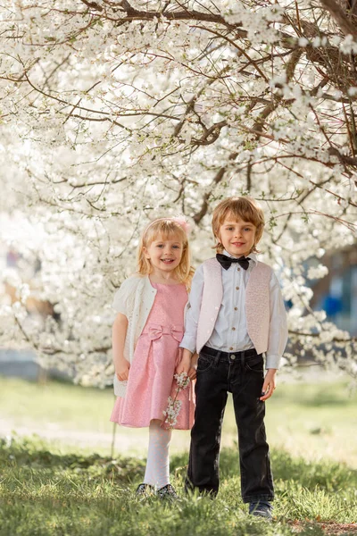 Hermanita Feliz Hermano Están Jugando Jardín Cerezos Flor Aire Libre —  Fotos de Stock