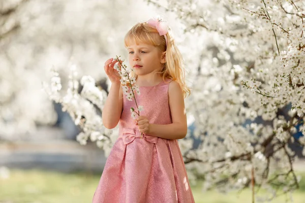 Милая Маленькая Блондинка Играет Цветущем Вишневом Саду Открытом Воздухе Весеннее — стоковое фото