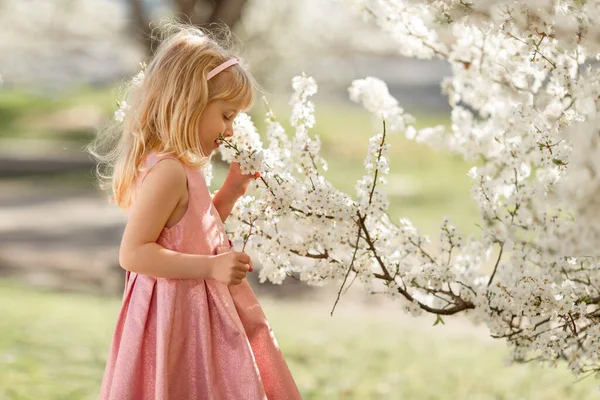 Милая Маленькая Блондинка Играет Цветущем Вишневом Саду Открытом Воздухе Весеннее — стоковое фото