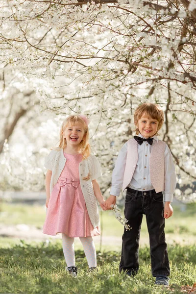 Mutlu Küçük Kız Erkek Kardeş Açık Havada Kiraz Bahçesinde Oynuyorlar — Stok fotoğraf