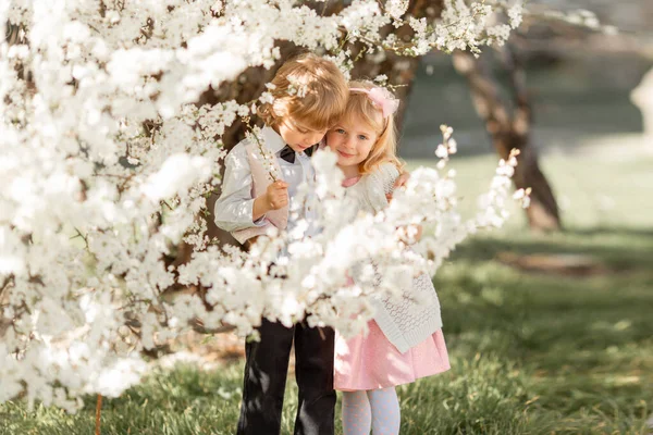 Glad Lillasyster Och Bror Leker Blomsterkörsbärsträdgården Utomhus Vårtid Royaltyfria Stockfoton