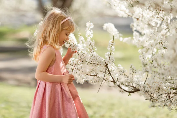 Linda Niña Rubia Está Jugando Jardín Cerezos Flor Aire Libre Imagen De Stock