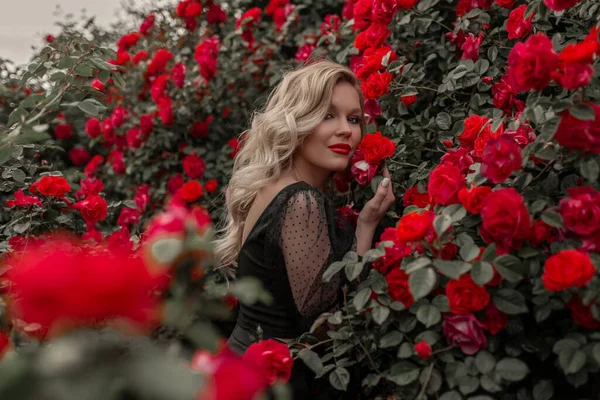 Hermosa Mujer Rubia Jardín Con Rosas Rojas Primavera — Foto de Stock