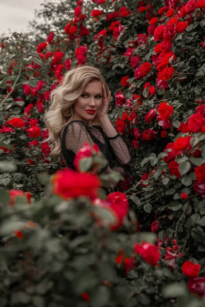 Beautiful Blonde Woman Garden Red Roses Spring Time — Stock Photo, Image