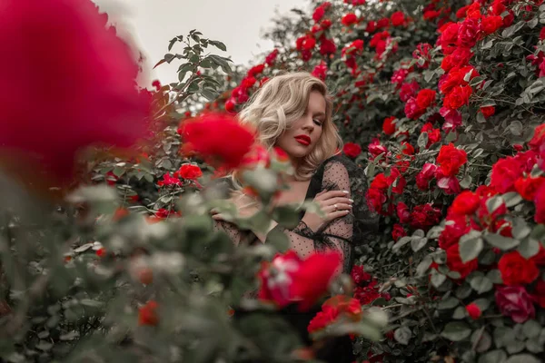 Красива Блондинка Саду Червоними Трояндами Весняний Час Стокова Картинка