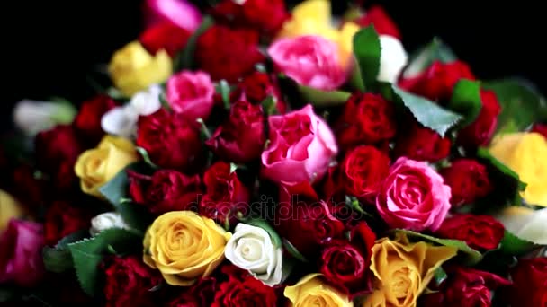 Bouquet of colorful roses on black background. 1920x1080 — Stock Footage Bouquet of colorful roses on black background. 1920x1080 Video Clip