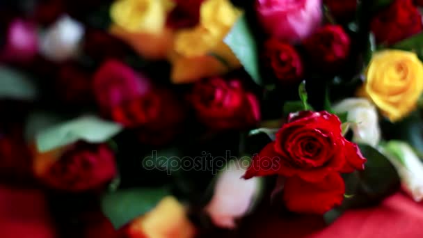 Fekete háttér színes Rózsa csokor. 1920 x 1080