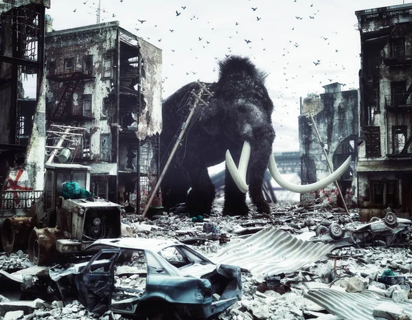 Giant mammot in destroyed city — Stock Photo, Image