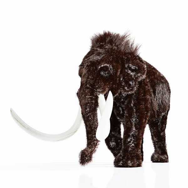 Mammoth på vit bakgrund — Stockfoto