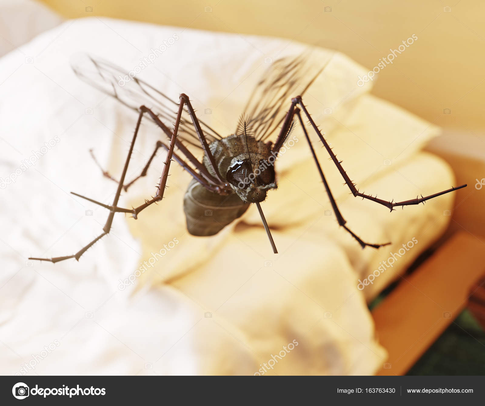 Fliegende Mücke im Schlafzimmer — Stockfoto © vicnt2815 #163763430 Fliegende Mücke im Schlafzimmer — Stockfoto © vicnt2815 #163763430