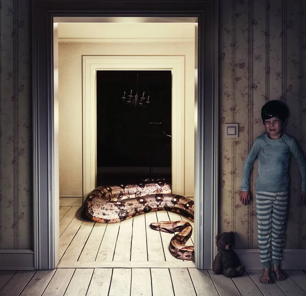 子供の部屋と少年を蛇します。 — ストック写真