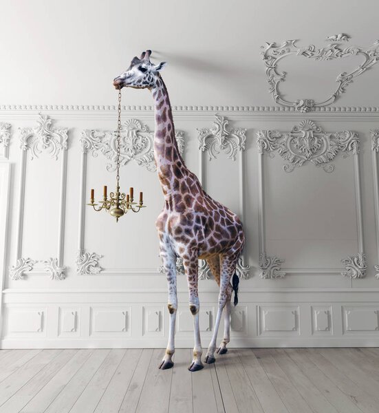 Giraffe holds the chandelier