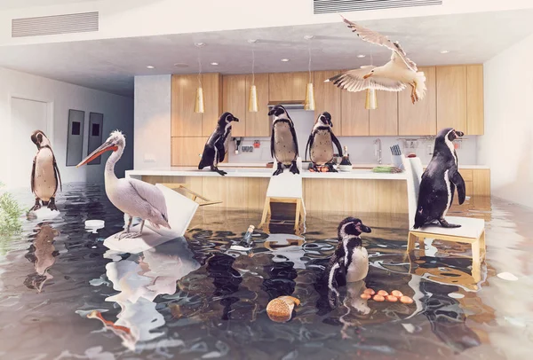 ocean birds in flooding kitchen interior in 3D