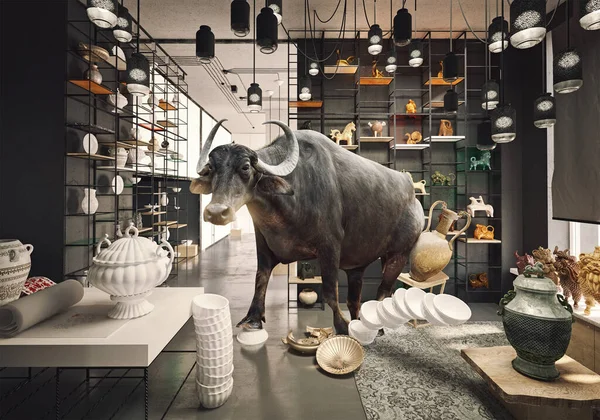 Bull China Shop Photo Media Mixed Creative Concept — Stock Photo, Image