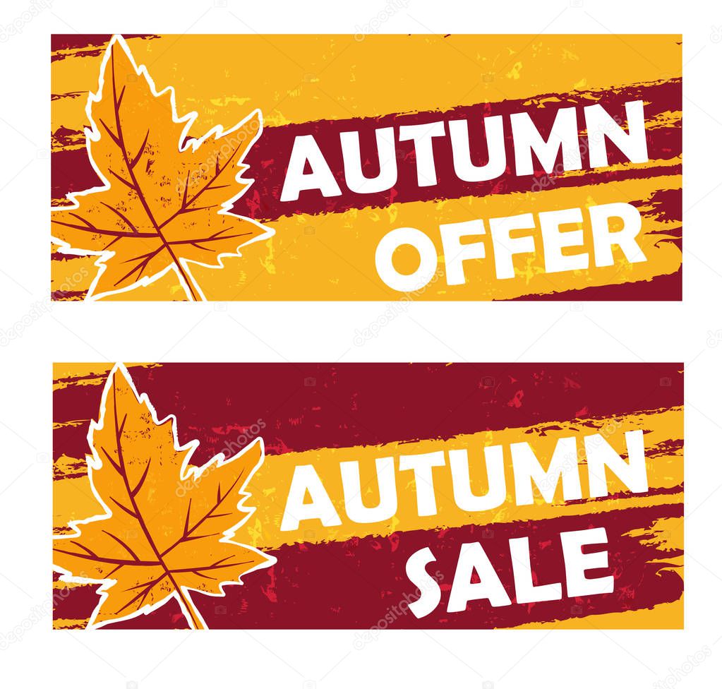 autumn offer and sale drawn banners with fall leaf, vector