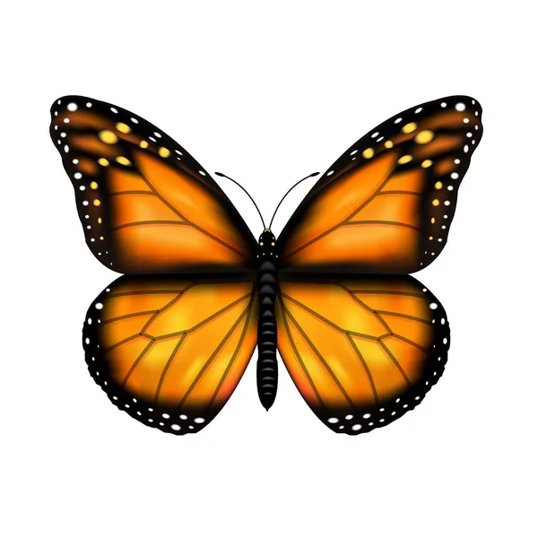 Schmetterling mit Gradientennetz, — Stockvektor